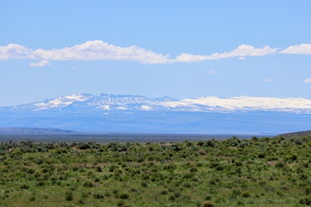 Eastern Oregon Narrows Pivots - image 3