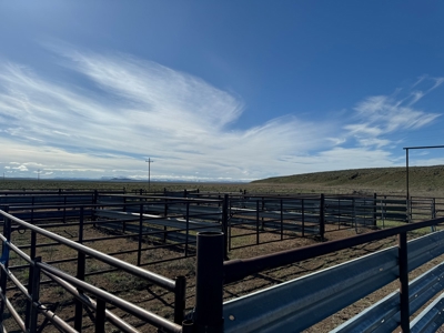 Eastern Oregon Narrows Pivots - image 28