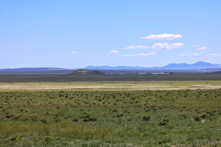 Eastern Oregon Narrows Pivots - image 6