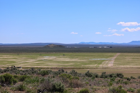 Eastern Oregon Narrows Pivots - image 8