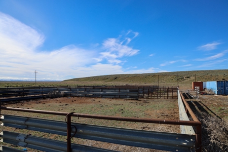Eastern Oregon Narrows Pivots - image 2