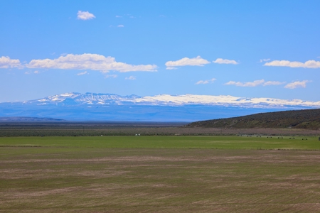 Eastern Oregon Narrows Pivots - image 12