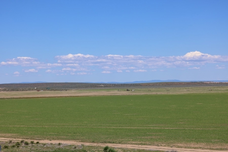 Eastern Oregon Narrows Pivots - image 21