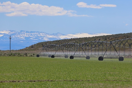 Eastern Oregon Narrows Pivots - image 1