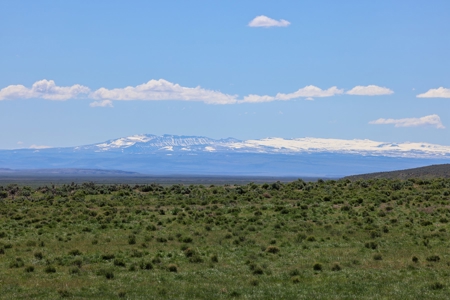 Eastern Oregon Narrows Pivots - image 4