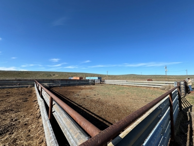 Eastern Oregon Narrows Pivots - image 27