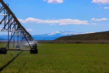 Eastern Oregon Narrows Pivots - image 20