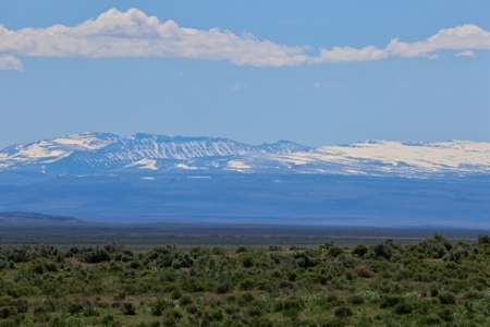 Eastern Oregon Narrows Pivots - image 5