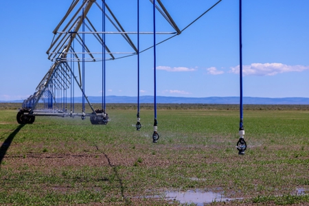 Eastern Oregon Narrows Pivots - image 16