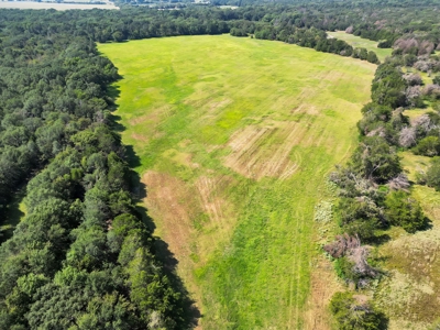 Kaufman TX Ranch Near Dallas with Unfinished Barndo - image 15