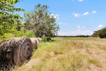 Kaufman TX Ranch Near Dallas with Unfinished Barndo - image 21