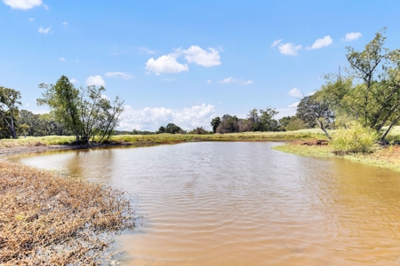 Kaufman TX Ranch Near Dallas with Unfinished Barndo - image 27