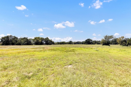 Kaufman TX Ranch Near Dallas with Unfinished Barndo - image 30