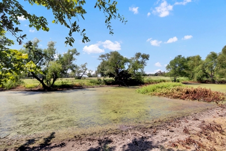 Kaufman TX Ranch Near Dallas with Unfinished Barndo - image 19