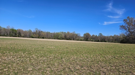 Arkansas cattle Ranch for sale 109 acres - image 2