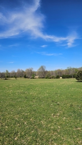 Arkansas cattle Ranch for sale 109 acres - image 19
