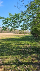 Arkansas cattle Ranch for sale 109 acres - image 27