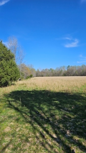Arkansas cattle Ranch for sale 109 acres - image 30
