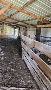 Arkansas cattle Ranch for sale 109 acres - image 13