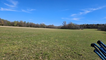 Arkansas cattle Ranch for sale 109 acres - image 5