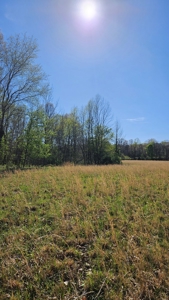 Arkansas cattle Ranch for sale 109 acres - image 28