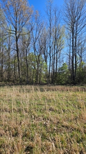 Arkansas cattle Ranch for sale 109 acres - image 6