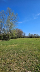 Arkansas cattle Ranch for sale 109 acres - image 25