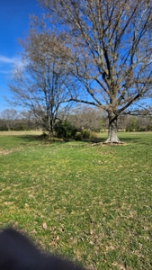 Arkansas cattle Ranch for sale 109 acres - image 20