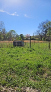 Arkansas cattle Ranch for sale 109 acres - image 11