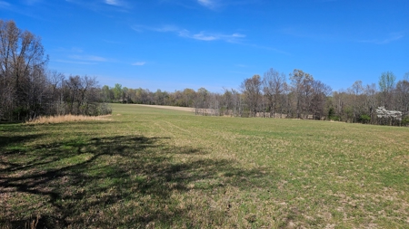 Arkansas cattle Ranch for sale 109 acres - image 1