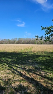 Arkansas cattle Ranch for sale 109 acres - image 26