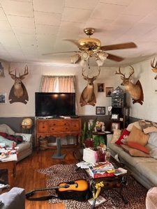 Arkansas cattle Ranch for sale 109 acres - image 40
