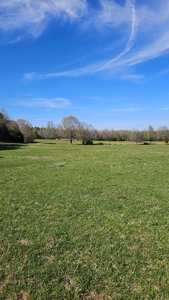 Arkansas cattle Ranch for sale 109 acres - image 18