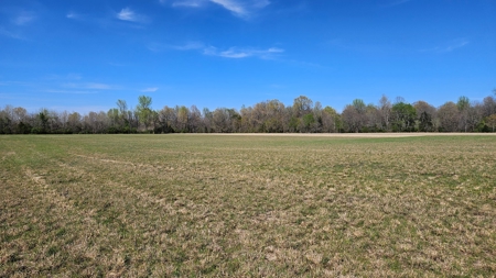 Arkansas cattle Ranch for sale 109 acres - image 4