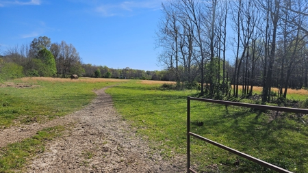 Arkansas cattle Ranch for sale 109 acres - image 8