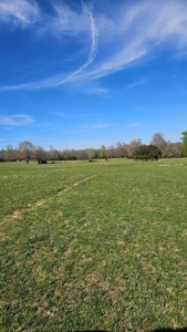 Arkansas cattle Ranch for sale 109 acres - image 17