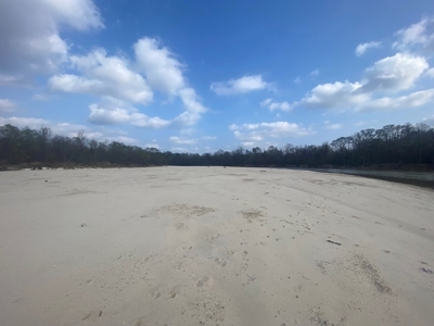 Hunting Land and Camp for Sale on the Pearl River - image 13