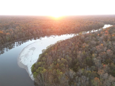Hunting Land and Camp for Sale on the Pearl River - image 11