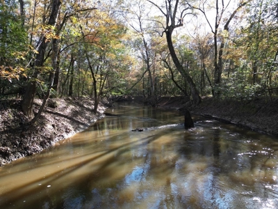 Hunting Land and Camp for Sale on the Pearl River - image 5