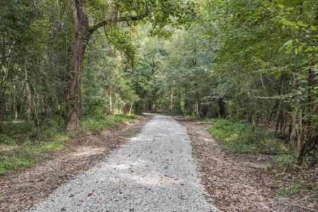 Hunting Land and Camp for Sale on the Pearl River - image 49