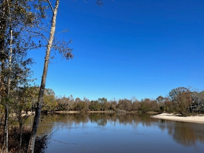 Hunting Land and Camp for Sale on the Pearl River - image 17