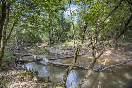 Hunting Land and Camp for Sale on the Pearl River - image 42