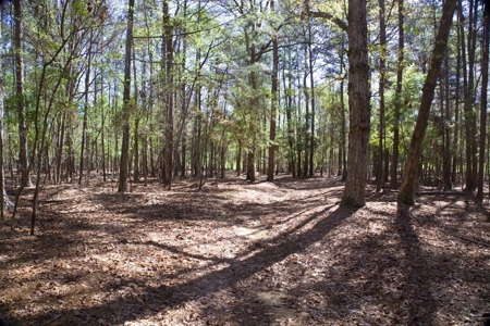 Turnkey High Fence for Sale in Amite County, MS - image 21