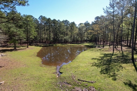Turnkey High Fence for Sale in Amite County, MS - image 39