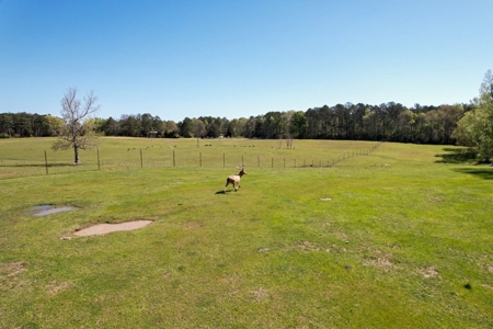 Turnkey High Fence for Sale in Amite County, MS - image 41