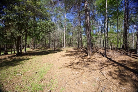 Turnkey High Fence for Sale in Amite County, MS - image 28