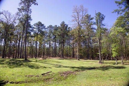Turnkey High Fence for Sale in Amite County, MS - image 20