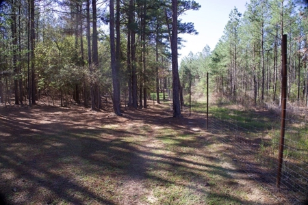 Turnkey High Fence for Sale in Amite County, MS - image 18