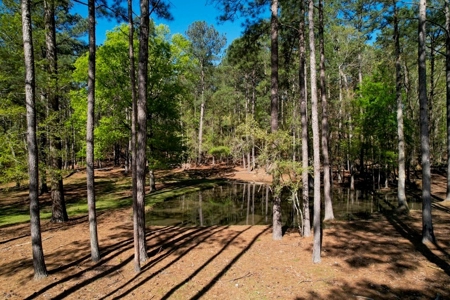 Turnkey High Fence for Sale in Amite County, MS - image 36