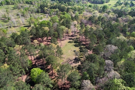 Turnkey High Fence for Sale in Amite County, MS - image 37